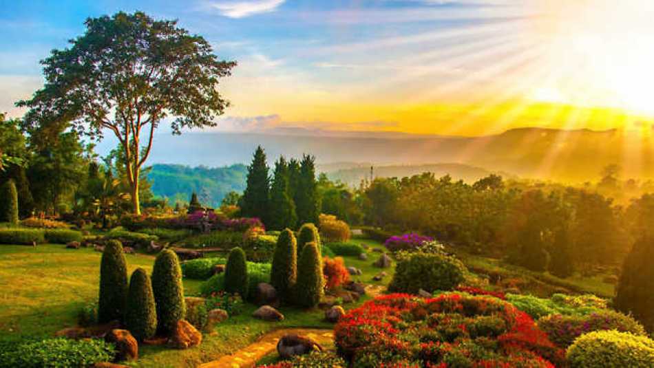 If you're looking to fund your retirement, then selling part of your garden may be ideal!