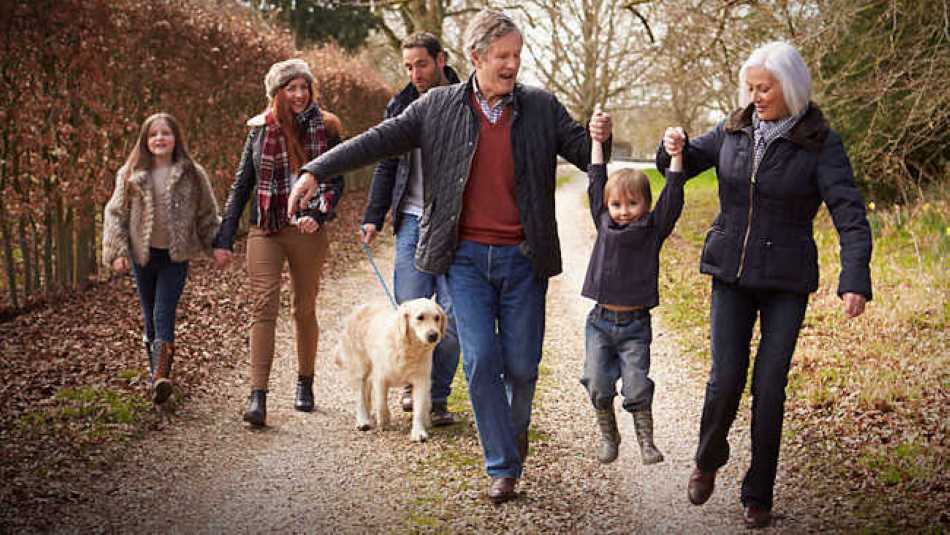 Family Investment Companies have both advantages and disadvantages. Is one right for you?